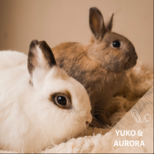Yuko & Aurora